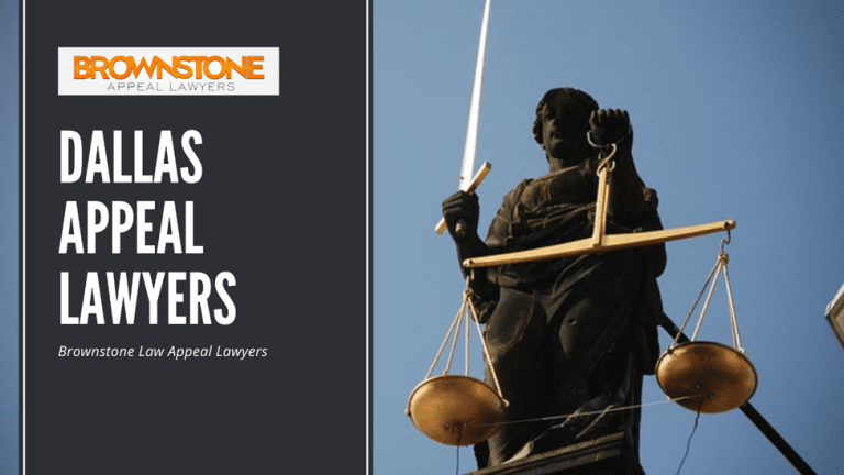 Appellate Lawyer